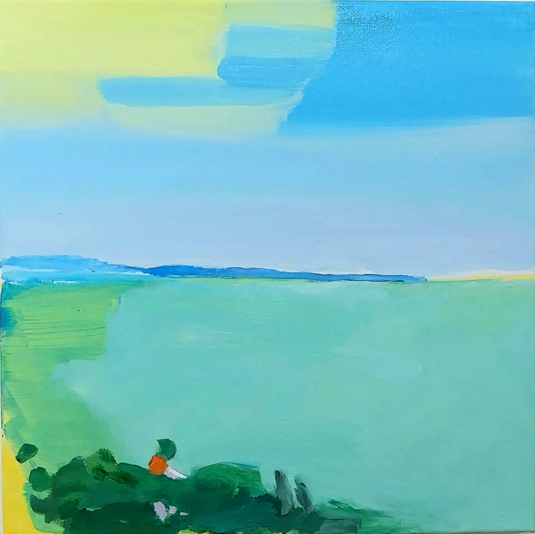 Merényi Dávid – Balaton szín kísérlet